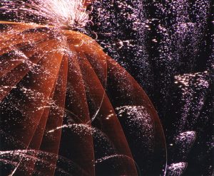 グッドフレーム賞 3枚目